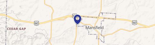 Mansfield, MO 65704