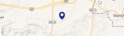 Mansfield, MO 65704