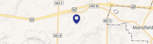 Mansfield, MO 65704