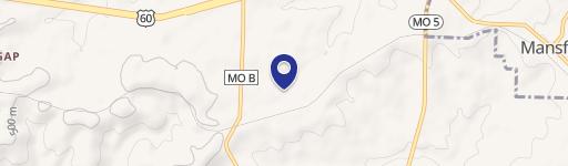 Mansfield, MO 65704