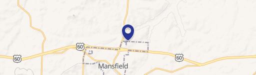 Mansfield, MO 65704