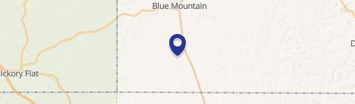 Blue Mountain, MS 38610