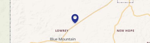 Blue Mountain, MS 38610