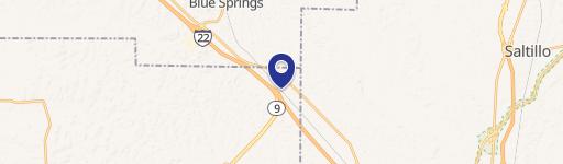 Blue Springs, MS 38828