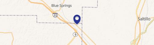 Blue Springs, MS 38828