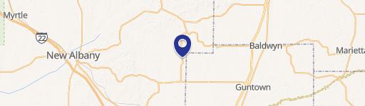 Blue Springs, MS 38828