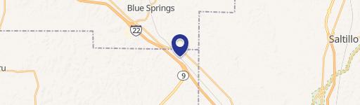 Blue Springs, MS 38828