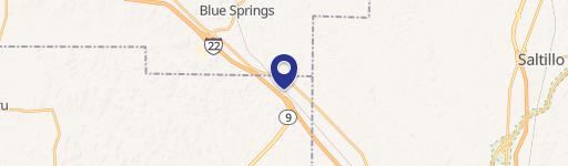 Blue Springs, MS 38828