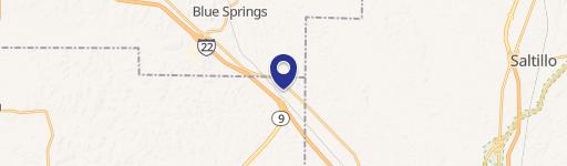 Blue Springs, MS 38828