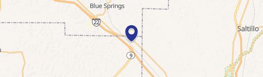 Blue Springs, MS 38828