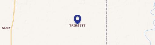 3194 Tribbett Rd