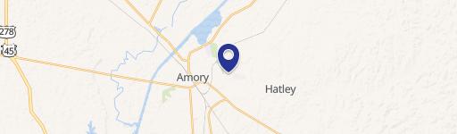 Amory, MS 38821