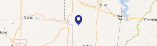 Burnsville, MS 38833