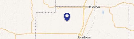 Guntown, MS 38849