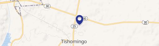 Tishomingo, MS 38873
