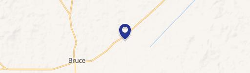 Bruce, MS 38915
