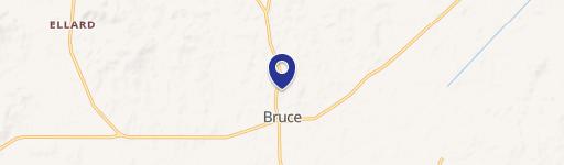 Bruce, MS 38915