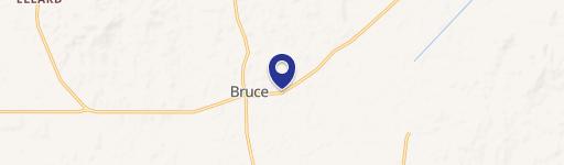 Bruce, MS 38915