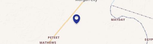Morgan City, MS 38946