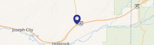 1861 Petrified Frst Dr