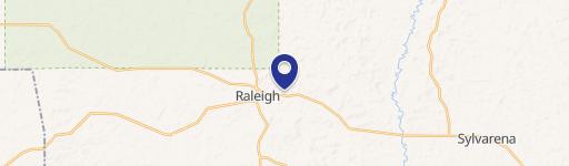 Raleigh, MS 39153
