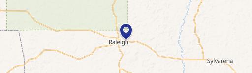 Raleigh, MS 39153