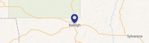 Raleigh, MS 39153