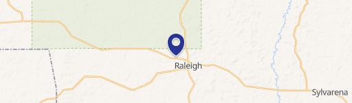 Raleigh, MS 39153