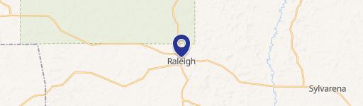 Raleigh, MS 39153