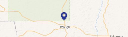Raleigh, MS 39153