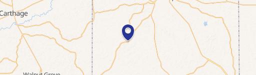 Philadelphia, MS 39350