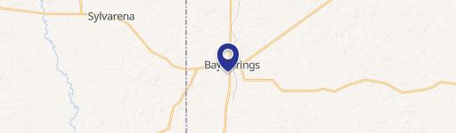 Bay Springs, MS 39422