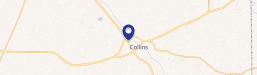 Collins, MS 39428