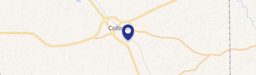 Collins, MS 39428