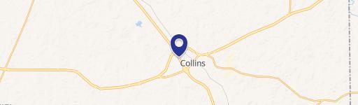 Collins, MS 39428