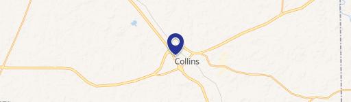 Collins, MS 39428