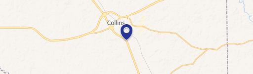 Collins, MS 39428