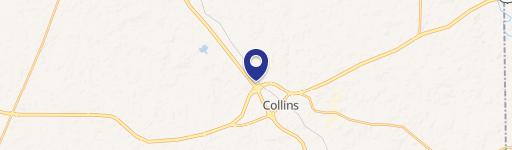 Collins, MS 39428