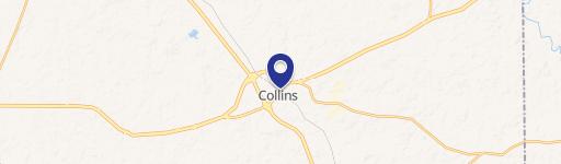 Collins, MS 39428
