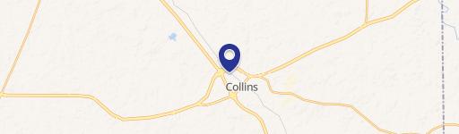 Collins, MS 39428