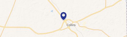 Collins, MS 39428