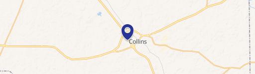 Collins, MS 39428