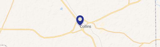 Collins, MS 39428