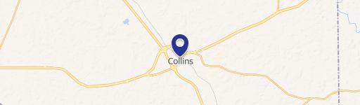 Collins, MS 39428
