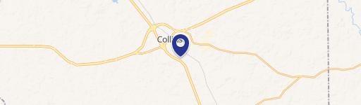 Collins, MS 39428