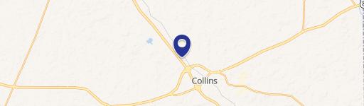 Collins, MS 39428