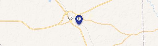 Collins, MS 39428