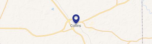 Collins, MS 39428