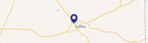 Collins, MS 39428