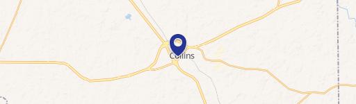 Collins, MS 39428